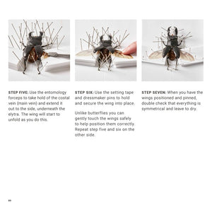 Insect Preservation  e-Book