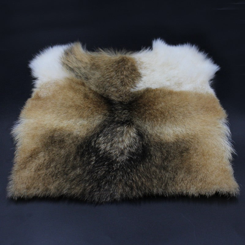 Pelt & Hide Preservation