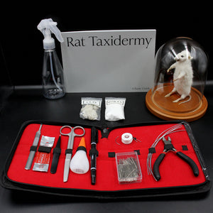 Rat Taxidermy Kit & Book