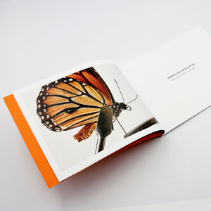 Insect Preservation Book & Kit