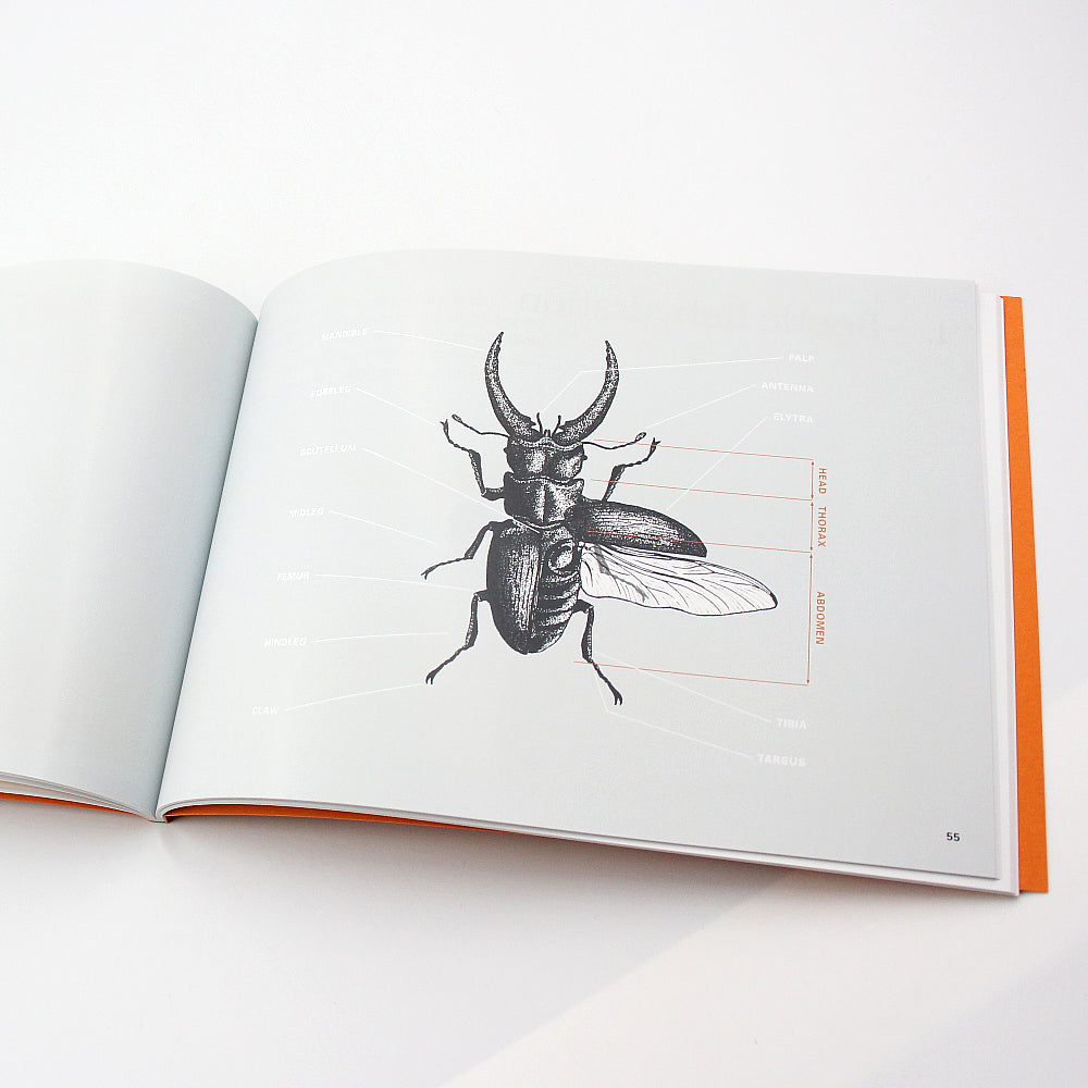 Insect Preservation Book & Kit - Rest in Pieces